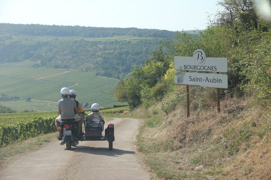 Meursault: Tour of the Vineyards on Motorbike with Sidecar - Gilles and the human side of the tour