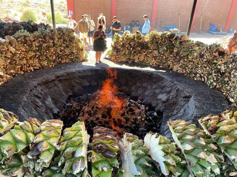 Mezcal Tour Oaxaca - What the $102 price buys you