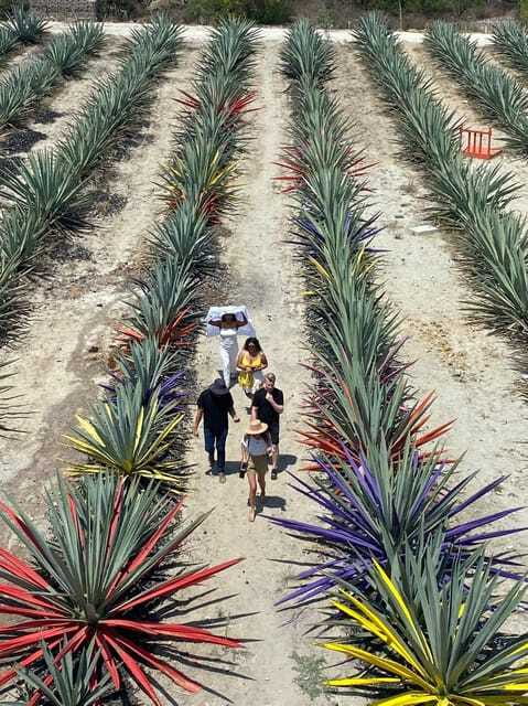 Mezcal Tour Oaxaca - The guides make a real difference