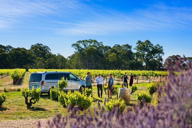 Micro-Group Barossa Valley Wine Tour from Adelaide - The first two wineries: finding your wine direction