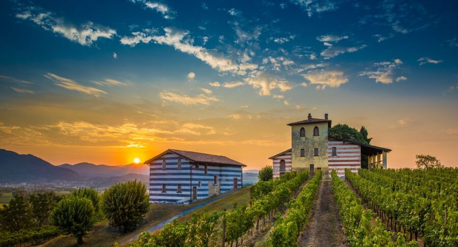 Milan: Franciacorta Winery and Bergamo Day Trip with Lunch - Why Franciacorta and Bergamo Make a Good Pair