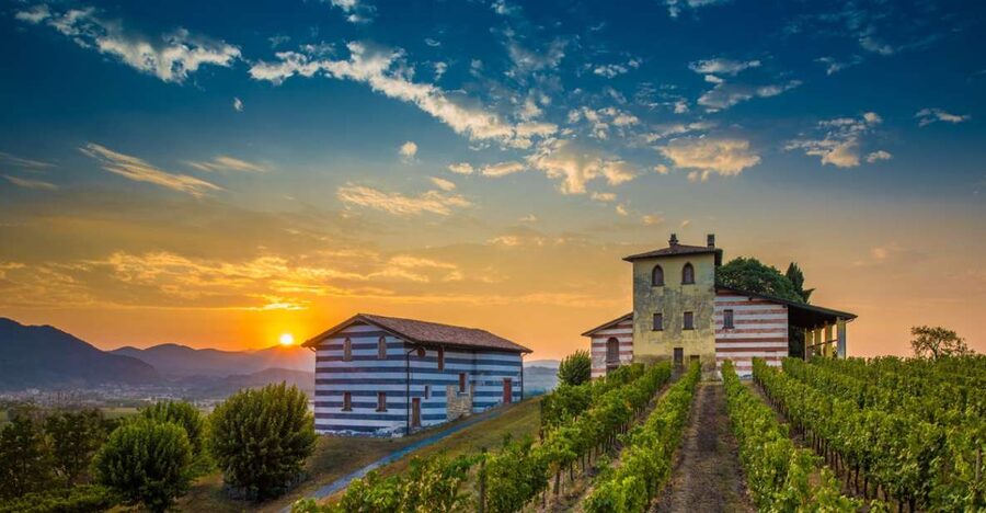Milan: Franciacorta Winery and Bergamo Day Trip with Lunch - Practical Value at $328.53