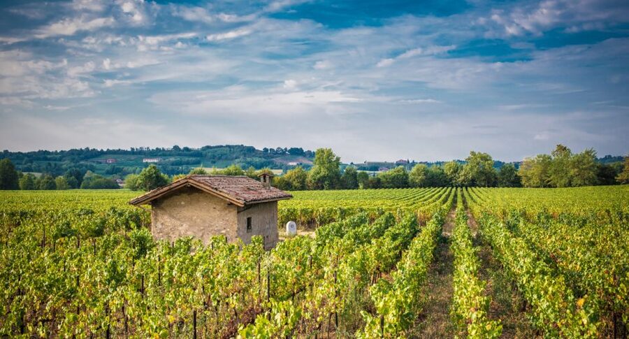 Milan: Franciacorta Winery and Bergamo Day Trip with Lunch - Meeting the Minivan at Bignami