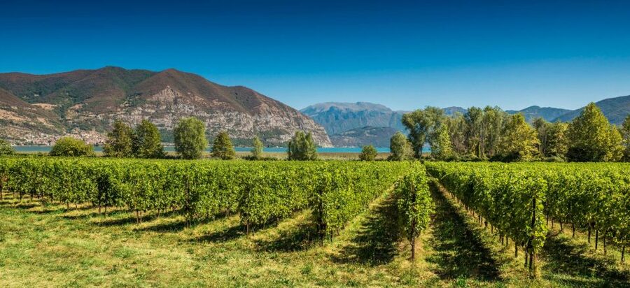 Milan: Franciacorta Winery and Bergamo Day Trip with Lunch - The Return to Milan and the Pace of the Day