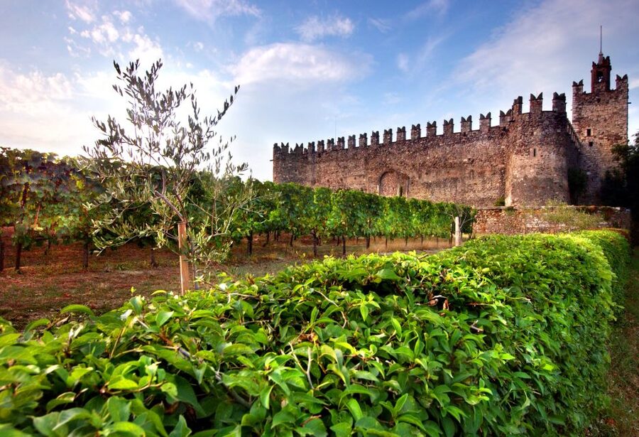 Milan: Franciacorta Winery and Bergamo Day Trip with Lunch - Who Will Get the Most From This Day Trip