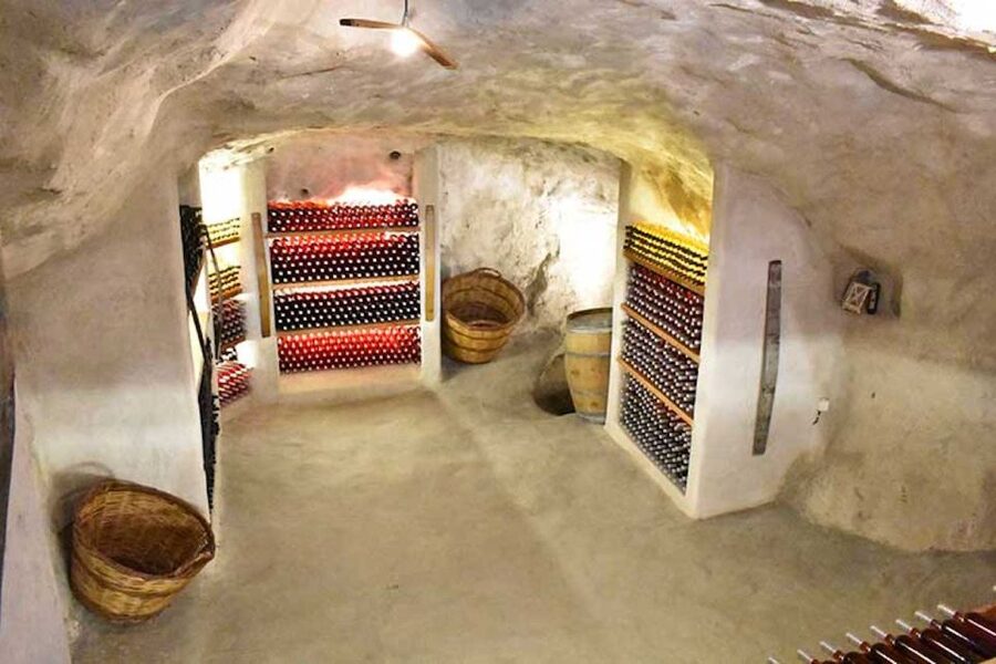 Milos Island: Kostantakis Winery Wine Tasting Experience - Walking through the vines and winemaking area