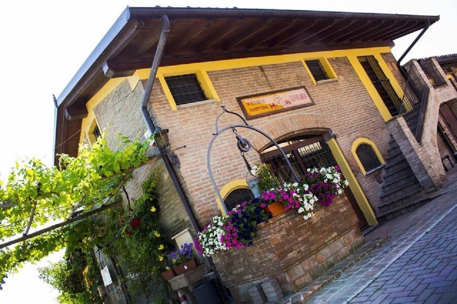 Modena: Balsamic Vinegar Tasting Experience - From grapes to cooked must