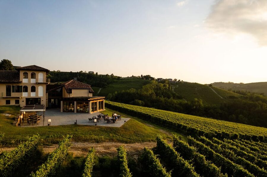 Monforte d'Alba: Barolo Tasting, Vineyard & Cellar Visit - Key points to know before you go