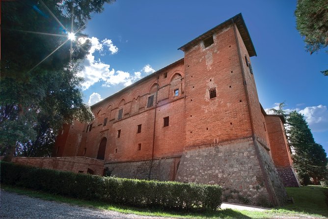 Montalcino: Brunello Wine Tasting Experience - The vineyard walk comes before the glasses