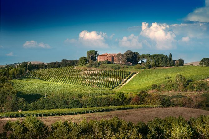 Montalcino: Brunello Wine Tasting & Lunch in a Tuscan Castle - The three-course Tuscan lunch