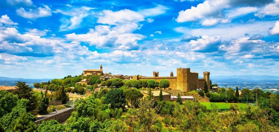 Montalcino: Castle and Vineyards Tour with Tasting - Key points at a glance