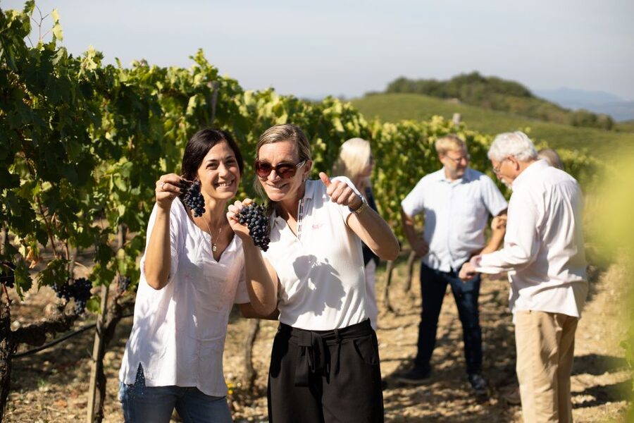 Montalcino: Guided Winery Tour and Wine Tasting - Key points at a glance