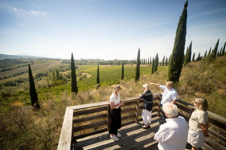 Montalcino: Guided Winery Tour and Wine Tasting - Inside the grape-processing area