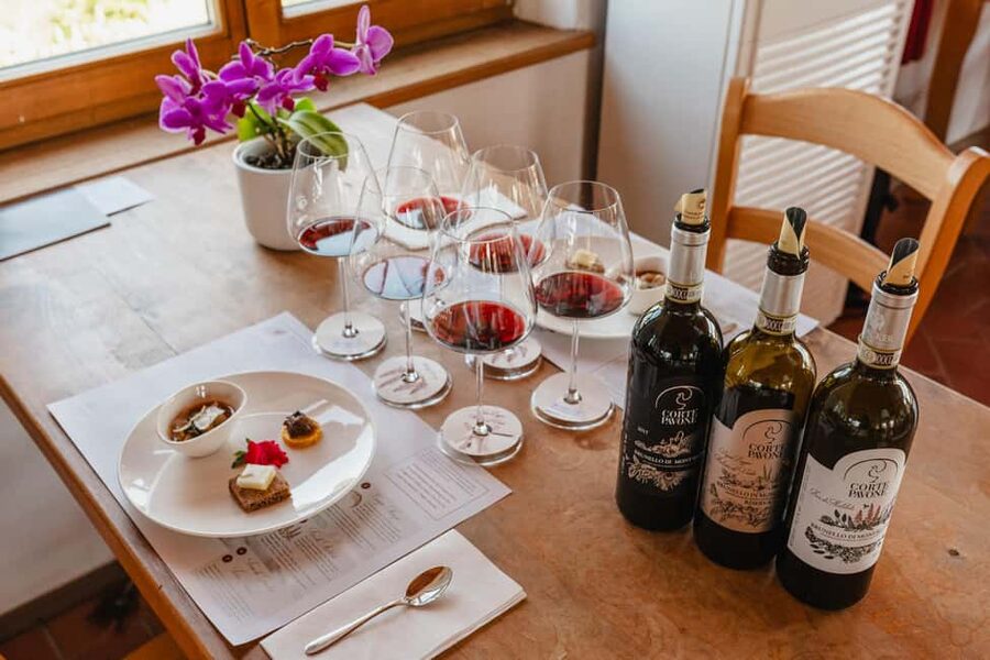 Montalcino: Guided Winery Tour & Gourmet Food Tasting - Key points to know before you book