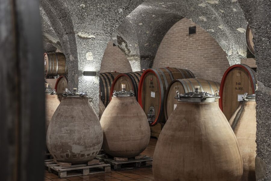 Montalcino: Guided Winery Tour & Gourmet Food Tasting - How the guides shape the visit