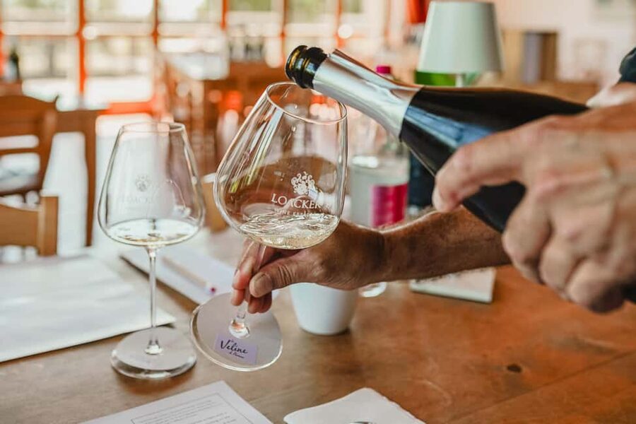 Montalcino: Guided Winery Tour & Gourmet Food Tasting - Price, timing, and the practical value