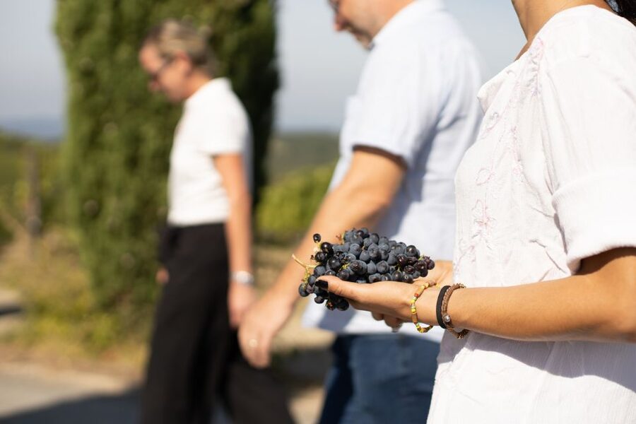 Montalcino: Guided Winery Tour & Gourmet Food Tasting - Who will enjoy this Montalcino experience most