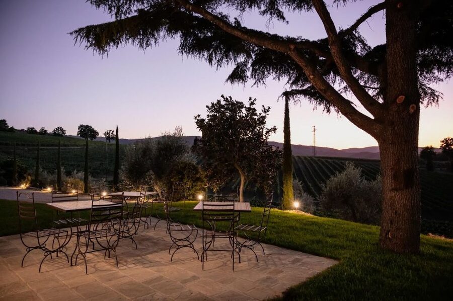 Montalcino: Premium Wine Tasting with light-lunch and Tour - A light lunch that is more than a snack