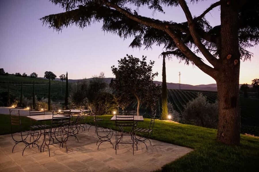 Montalcino: Premium Wine Tasting with light-lunch and Tour - What the $105 price really covers