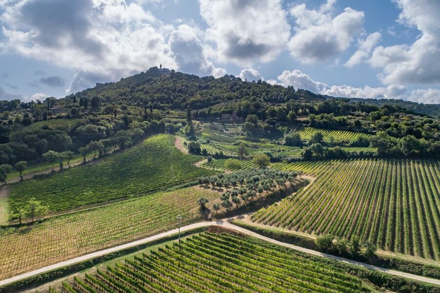 Montalcino: Private Cellar Tour, Wine Tasting & Appetizers - Five wines, from fresh Rosato to mature Brunello