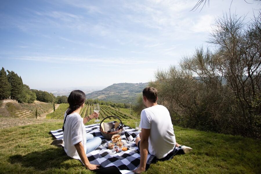 Montalcino: Vineyard Picnic with a Bottle of Wine - Key points to know before you book