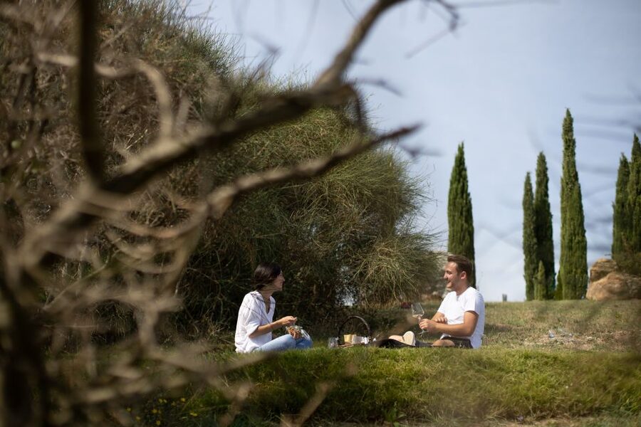 Montalcino: Vineyard Picnic with a Bottle of Wine - Why the picnic is the main event