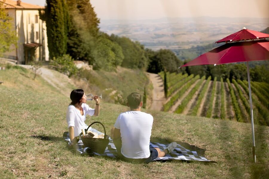 Montalcino: Vineyard Picnic with a Bottle of Wine - The vineyard and cellar tour, about one hour