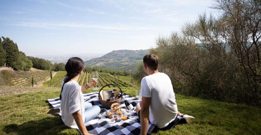 Montalcino: Vineyard Picnic with a Bottle of Wine - Choosing the wine and handling group bookings