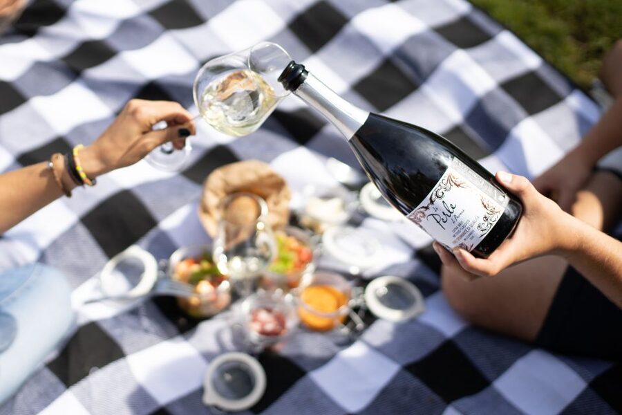 Montalcino: Vineyard Picnic with a Bottle of Wine - Timing, group size, and the private format