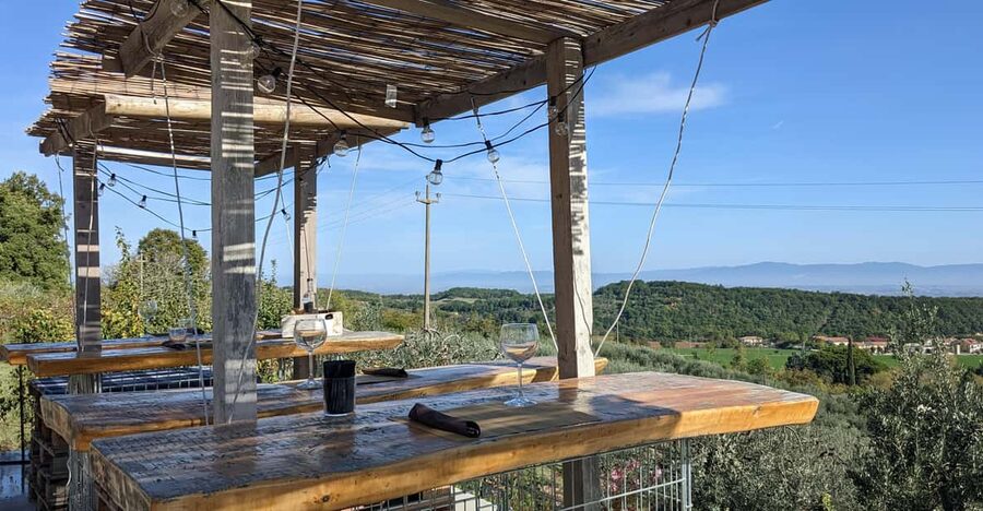 Montepulciano: Artisan Heroic Wine Tasting at the Terrace - Walking through the vines near Montepulciano