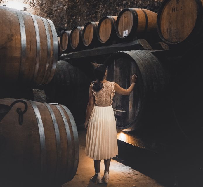 Montepulciano: Historical Cellars Guided Tour & Wine Tasting - Key points at a glance