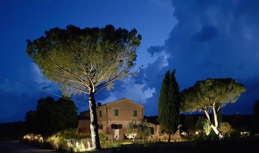 Montepulciano: Tuscan Winery Tour with Wine Tasting & Meal - What the $112.15 price includes