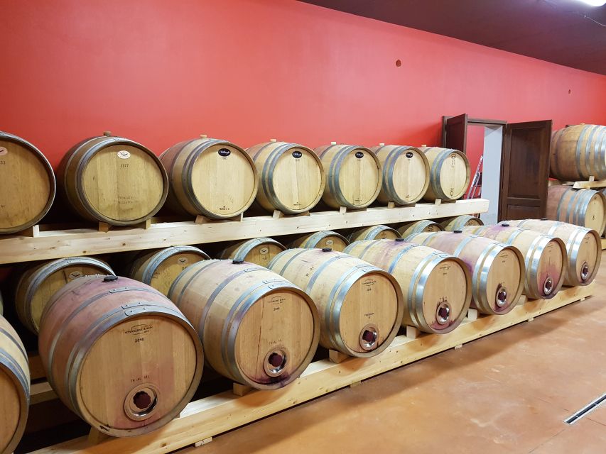 Montepulciano: Tuscan Winery Tour with Wine Tasting & Meal - Inside the cellar: from grape to bottle