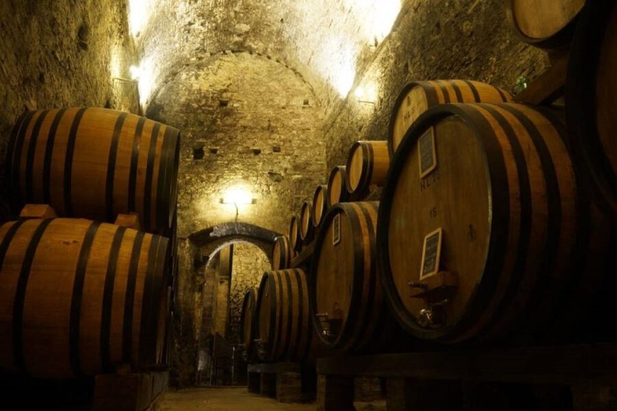 Montepulciano: Wine Tasting and Cellar Tour - The barrel rooms and the wood behind the wine