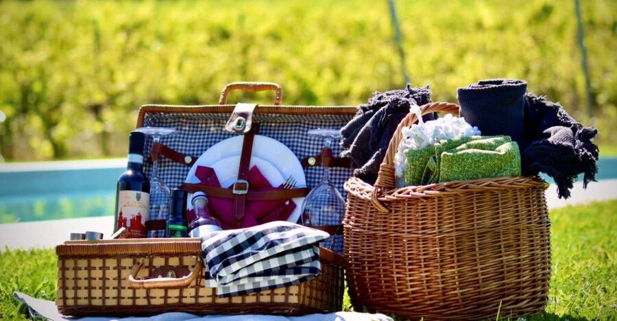 Montepulciano: Winery Tour, Tasting, and Vineyard Picnic - Who will enjoy this four-hour visit