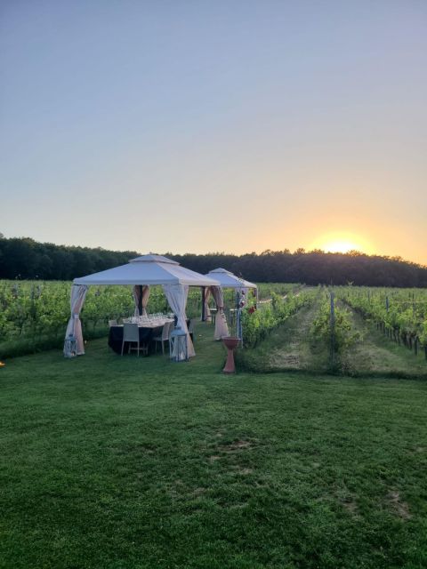Montepulciano: Winery Tour, Tasting, and Vineyard Picnic - Should you book the Podere Casanova picnic?