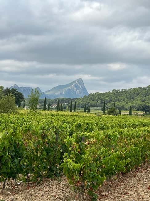 Montpellier: Pic Saint-Loup Wine Tour - Why Pic Saint-Loup makes a good half-day from Montpellier