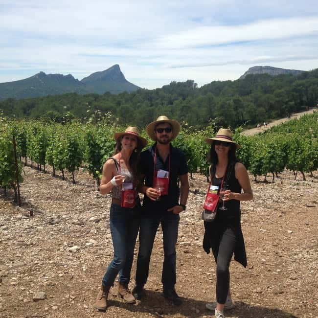 Montpellier: Pic Saint-Loup Wine Tour - A medieval village and the scenic drive between stops