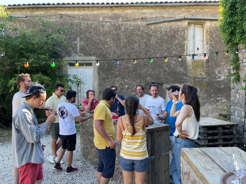 Montpellier: Pic Saint-Loup Wine Tour - What the guide adds to the experience