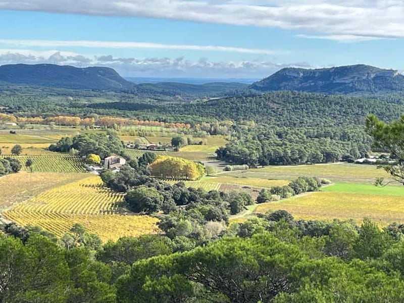 Montpellier: Pic Saint-Loup Wine Tour - Who will enjoy this outing most?