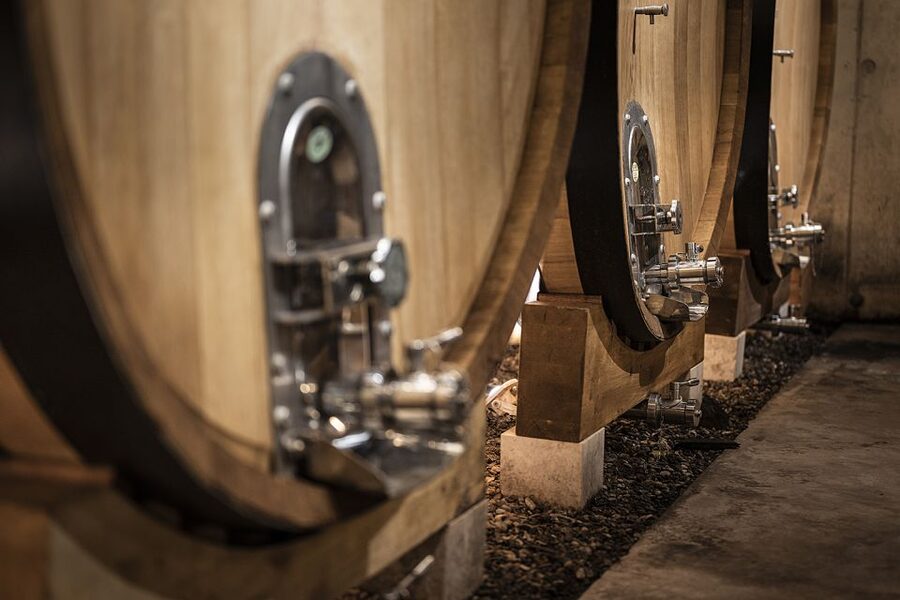 Montpellier Wine and Oyster Tour - Fresh oysters and the farming story