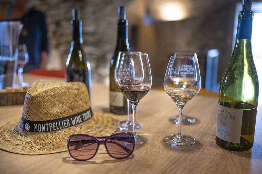 Montpellier Wine and Oyster Tour - Who will enjoy this tour most?
