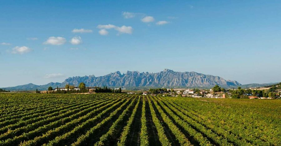 Montserrat & Cava Wineries Day Trip from Barcelona w/ Pickup - Why this Barcelona day trip works