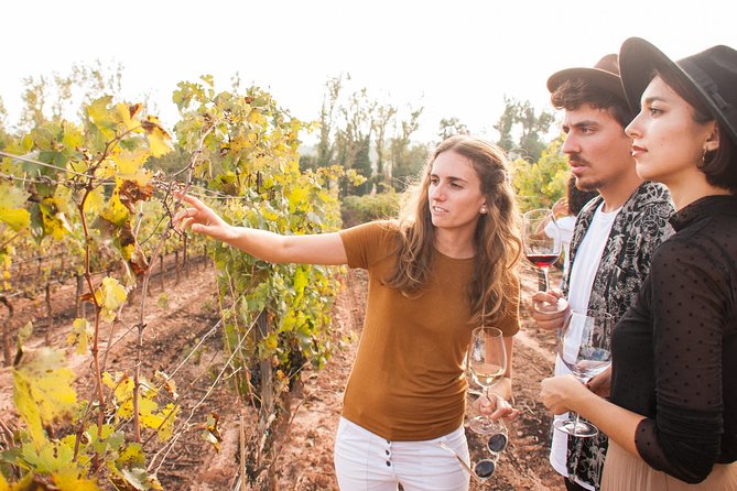 Montserrat & Cogwheel Train, Gourmet Wine Tasting & Tapas/Lunch - What the day feels like in practice