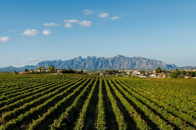 Montserrat,Vineyard, Wine Tasting Small Group Tour & Hotel Pickup - The basilica and the Black Madonna