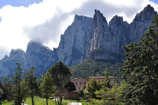 Montserrat,Vineyard, Wine Tasting Small Group Tour & Hotel Pickup - Walking, funiculars, and free time