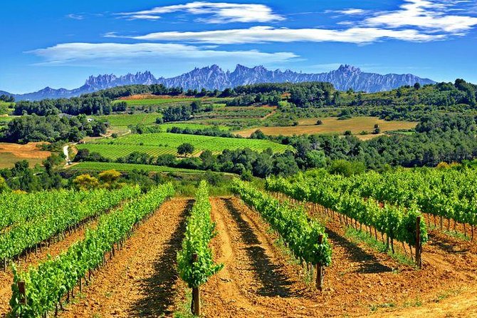 Montserrat,Vineyard, Wine Tasting Small Group Tour & Hotel Pickup - The Montserrat Museum for art lovers