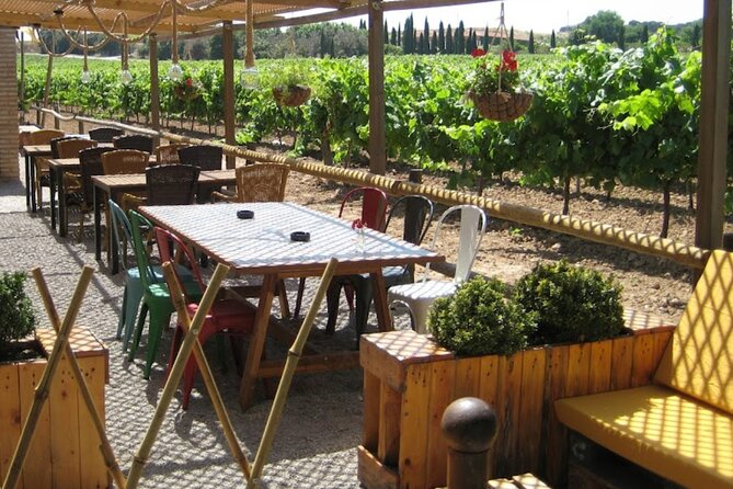 Montserrat & Winery Visit Tour with Traditional Farmhouse Lunch - Starting beside the Palau de la Música