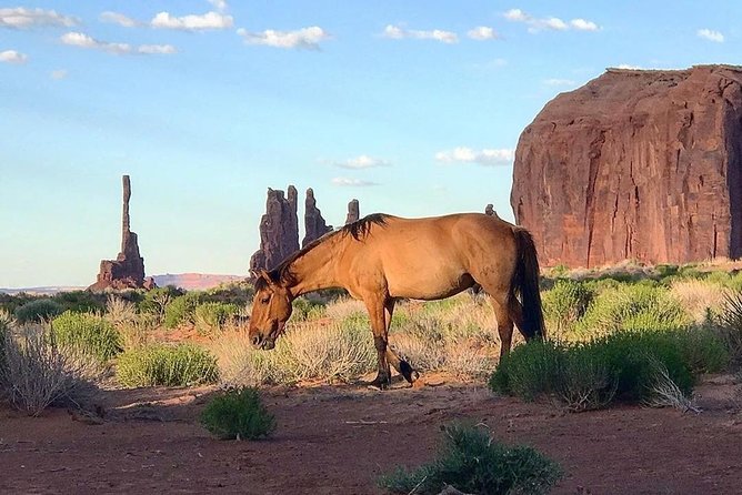 Monument Valley Group Tour - 3 Hours - Navajo Spirit Tours - What the three-hour schedule feels like