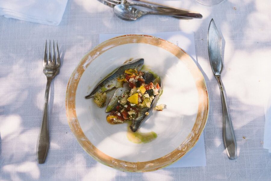 Morgado do Quintão Lunch and Wine Tasting - A three-course lunch with a clear wine plan